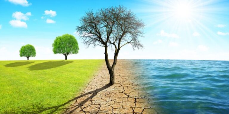 5 consejos para evitar el calentamiento global