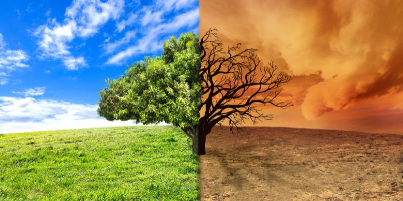 el cambio climático puede transformar el paisaje del planeta
