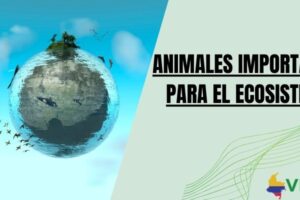 Animales importantes para el ecosistema