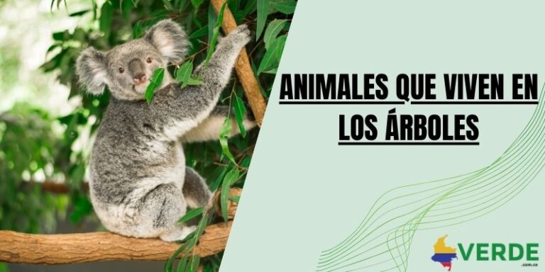 Porque son importantes los árboles para el planeta - Colombia Verde