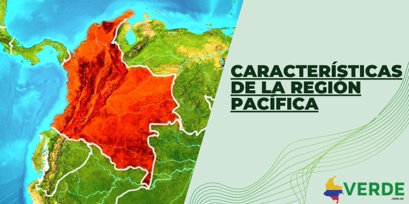 Características de la región Pacífica