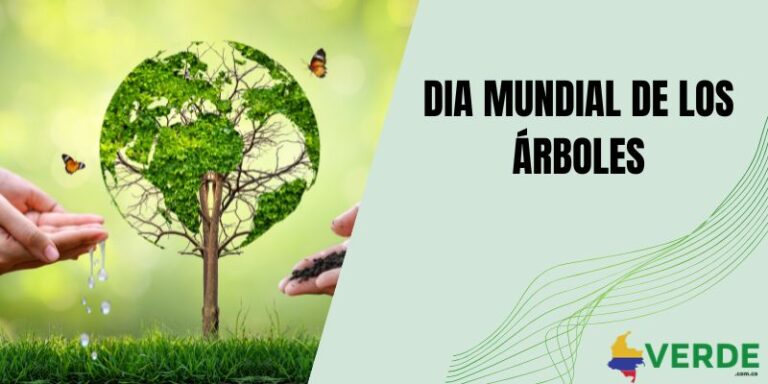 Siembra de árboles para el medio ambiente - Colombia Verde