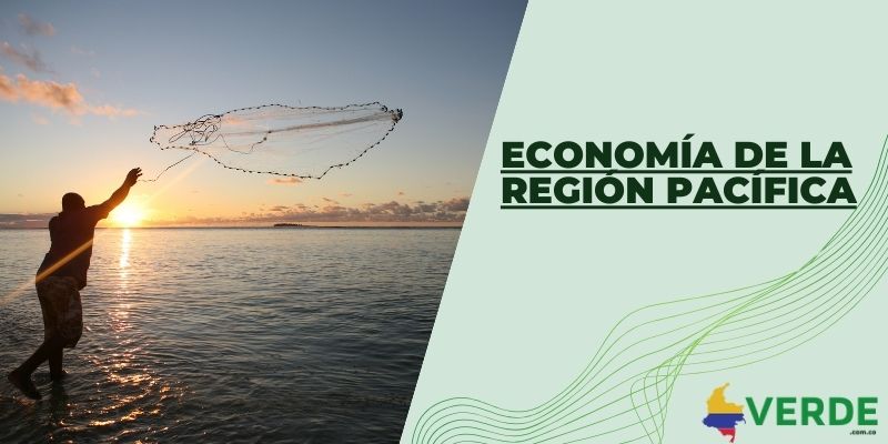 Economía de la región Pacífica