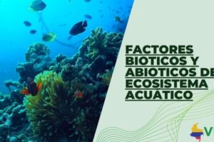 Factores bioticos y abioticos del ecosistema acuático