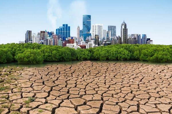 5 consejos para evitar el calentamiento global