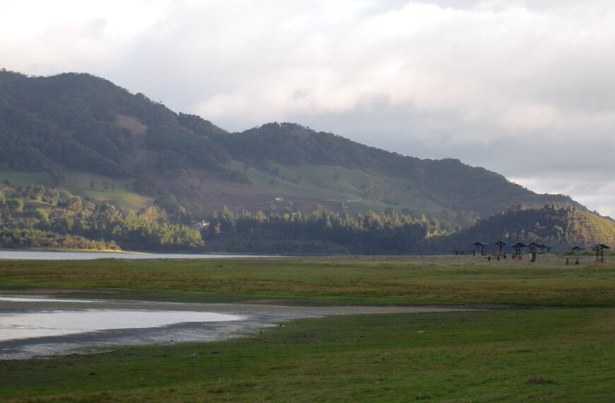 Ecosistema sabana en Colombia