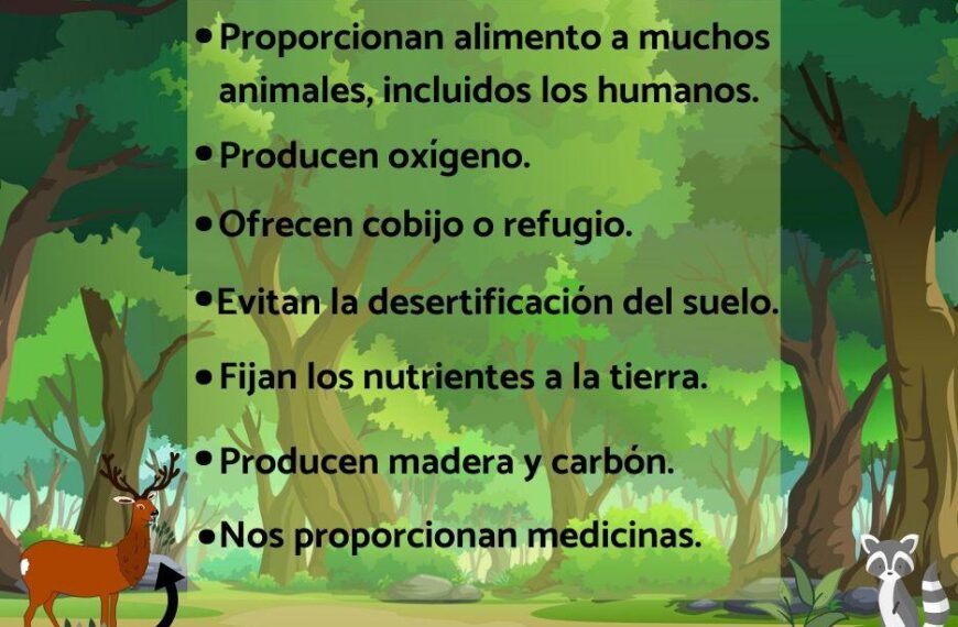 Función de las plantas en el ecosistema