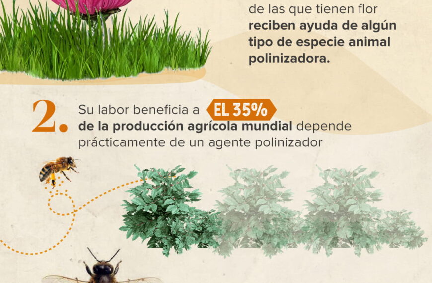 Importancia de las abejas en el ecosistema
