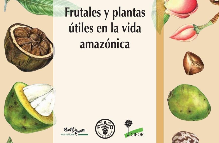 Importancia de los árboles frutales en Colombia