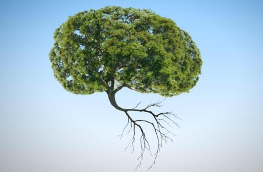 Los árboles tienen sistema nervioso
