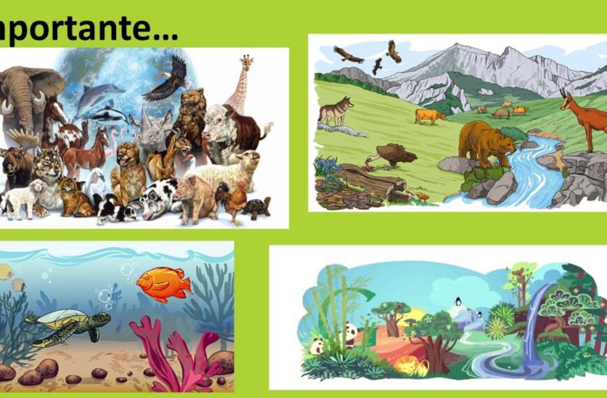 Qué factores conforman un ecosistema