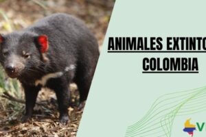 Animales extintos en Colombia