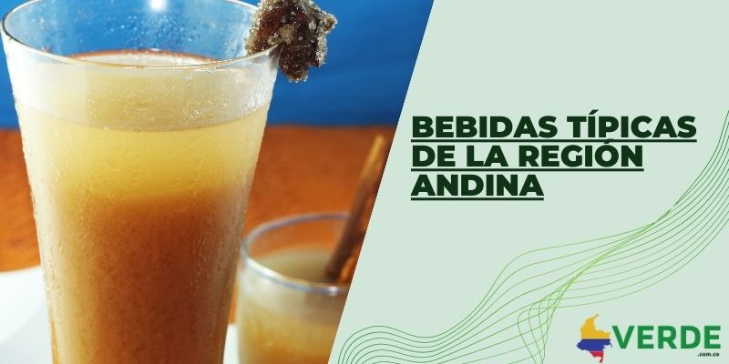 Bebidas típicas de la región Andina