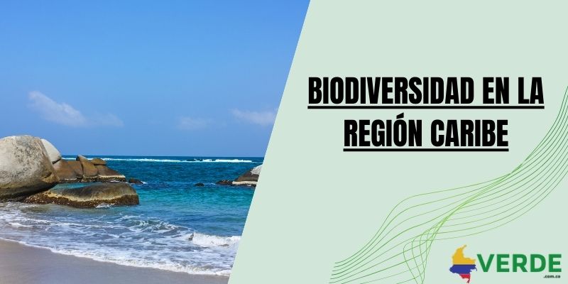 Biodiversidad en la región Caribe