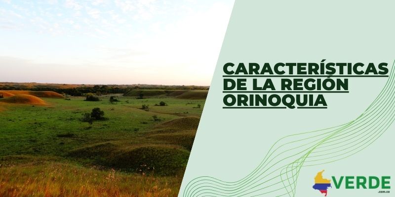 Características de la región Orinoquia