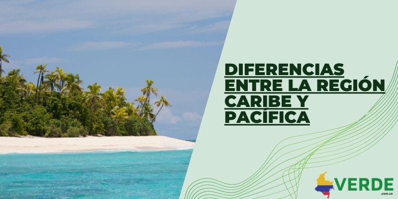Diferencias entre la región Caribe y Pacífica