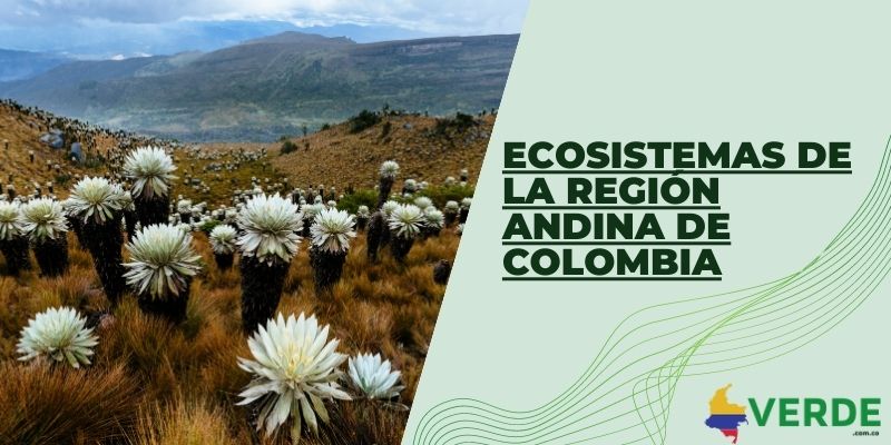 Ecosistemas de la región Andina de Colombia