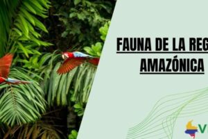 Fauna de la región Amazónica