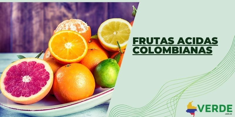 Frutas acidas colombianas
