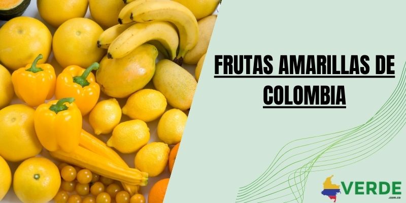 Frutas amarillas de Colombia