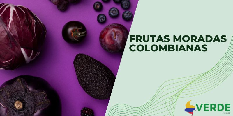 Frutas moradas colombianas