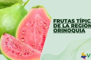 Frutas típicas de la región Orinoquia