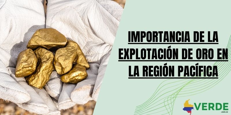 Importancia de la explotación de oro en la región Pacífica