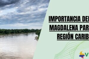 Importancia del rio magdalena para la región Caribe