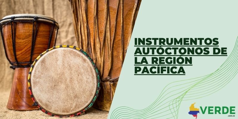 Instrumentos autóctonos de la región Pacífica