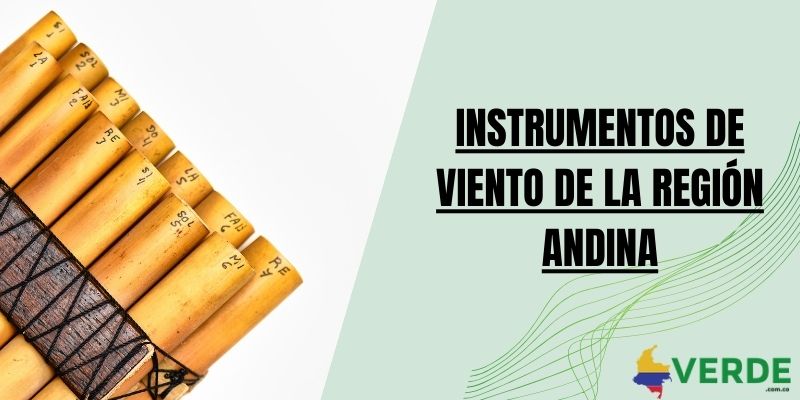 Instrumentos de viento de la región Andina