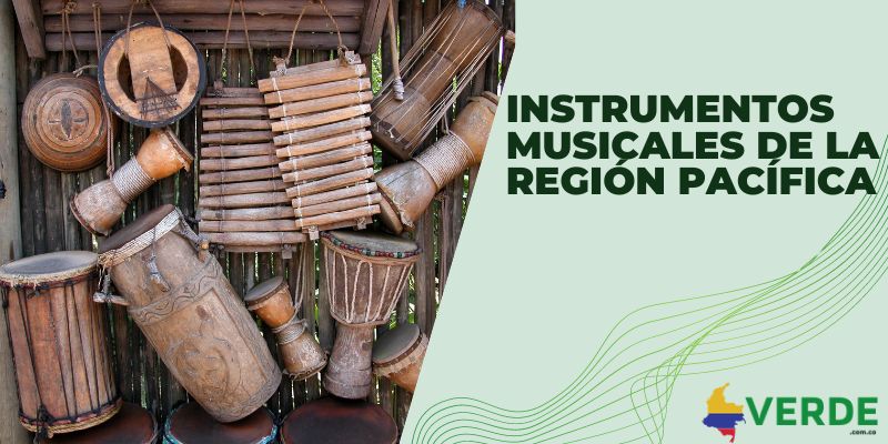Instrumentos musicales de la región Pacífica
