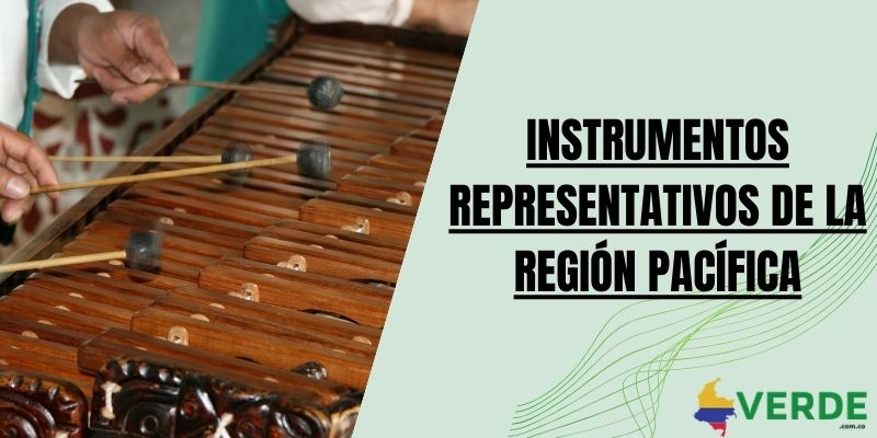 Instrumentos representativos de la región Pacífica
