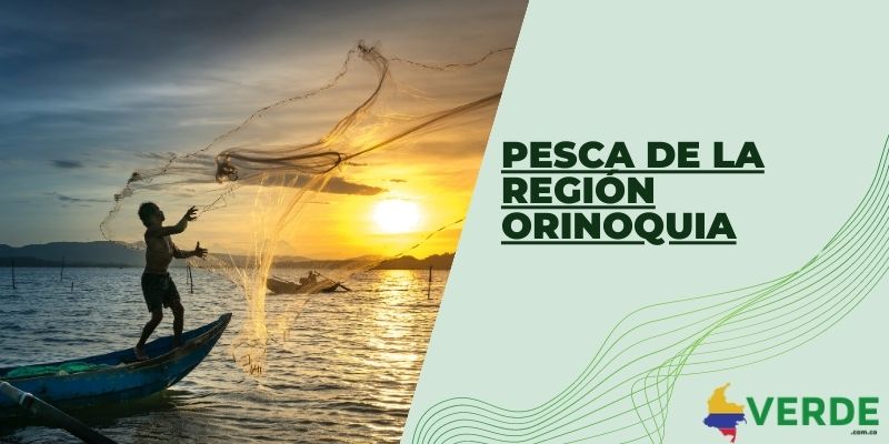Pesca de la región Orinoquia