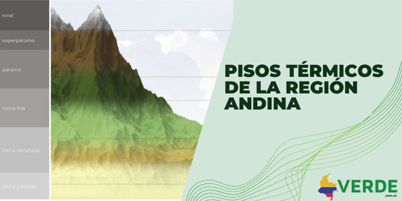 Pisos térmicos de la región Andina de Colombia