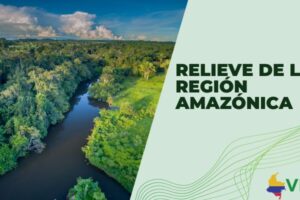 Relieve de la región Amazónica
