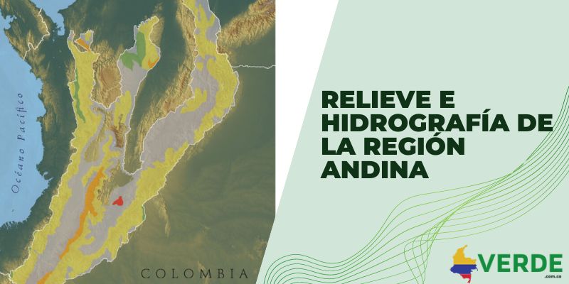 Relieve e hidrografía de la región Andina