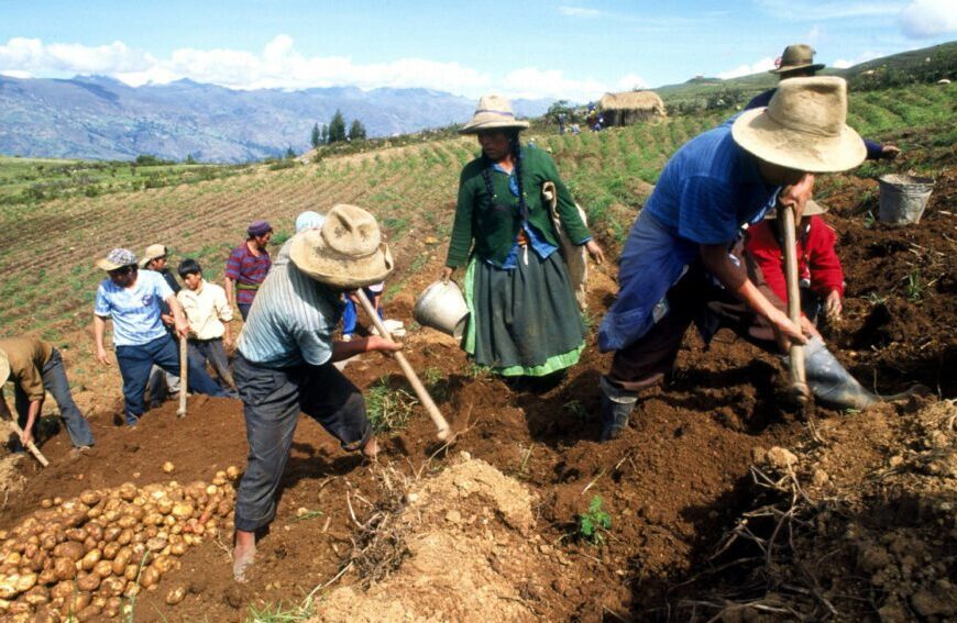 Actividades agropecuarias de la región Andina