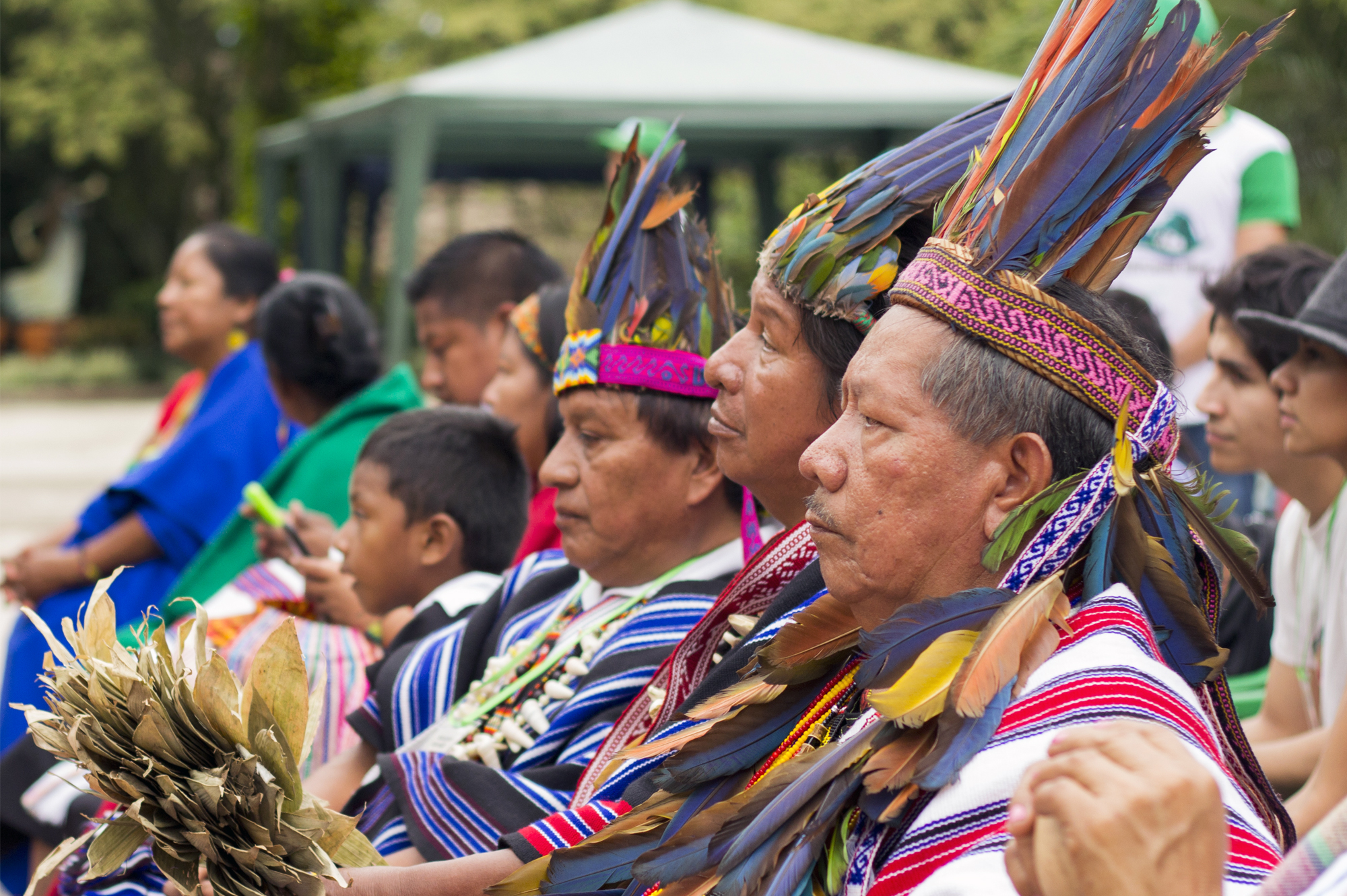 Diversidad cultural de la región Amazónica - Colombia Verde