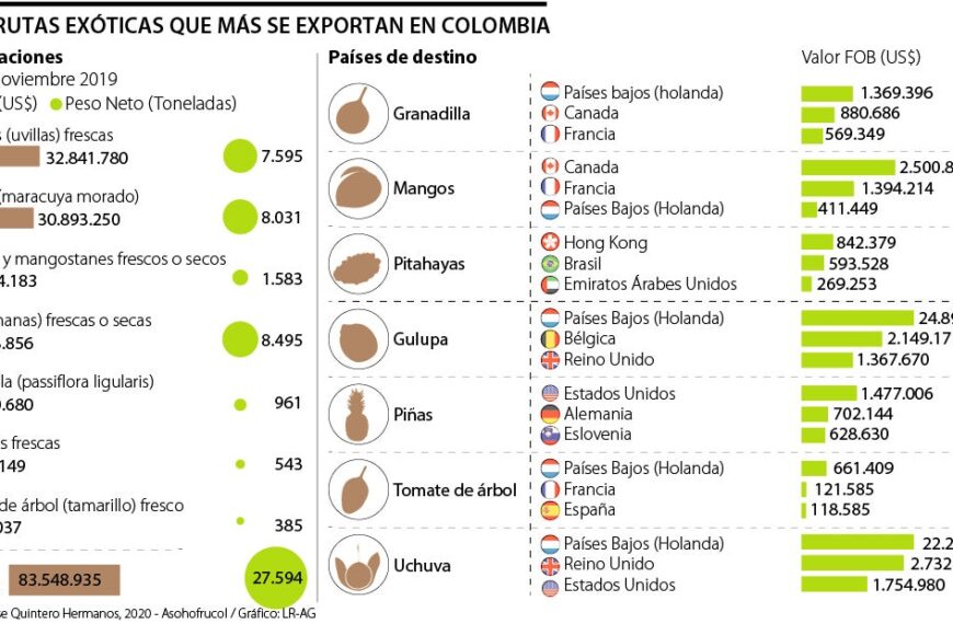 Principales frutas consumidas en Colombia
