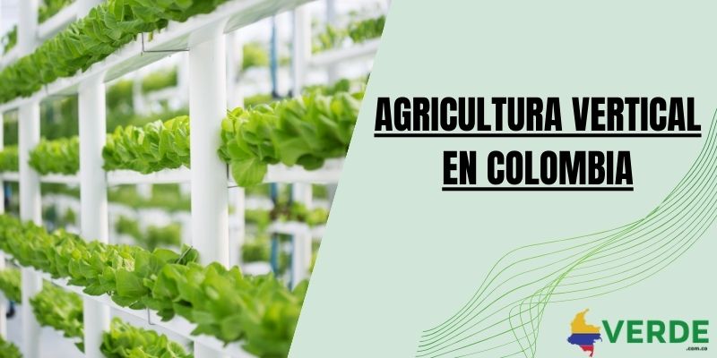 Agricultura vertical en Colombia