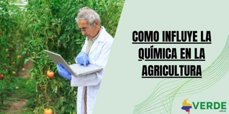 Factores que afectan la productividad de los cultivos - Colombia Verde