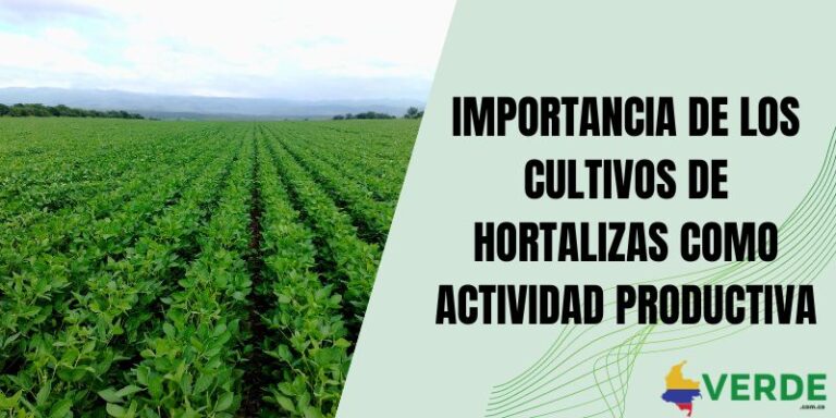 Factores que afectan la productividad de los cultivos - Colombia Verde