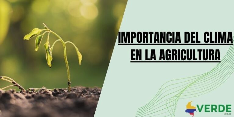 Factores que afectan la productividad de los cultivos - Colombia Verde