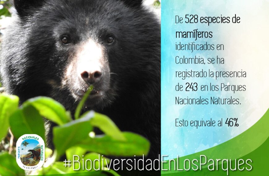Animales de los parques naturales de Colombia