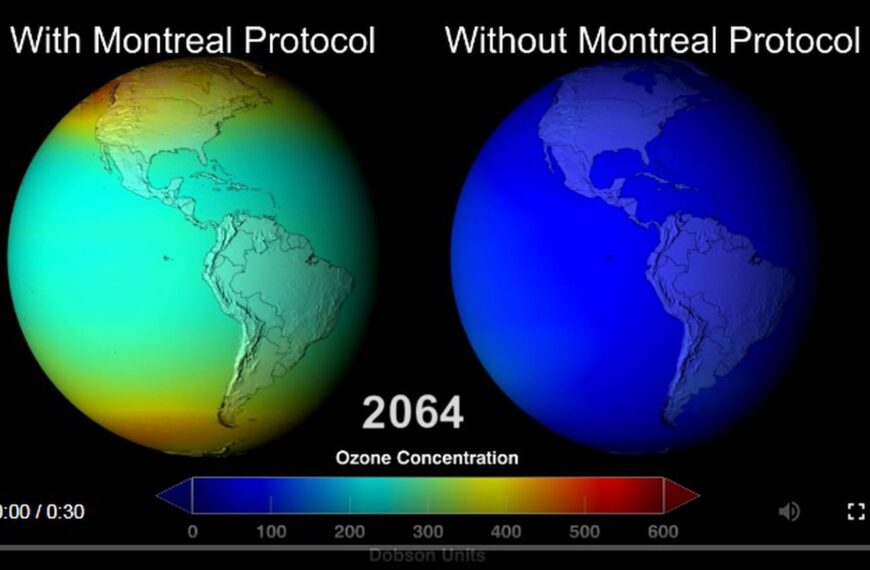 Calentamiento global y capa de ozono