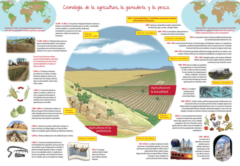 Factores que afectan la productividad de los cultivos - Colombia Verde