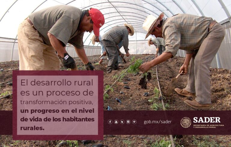 Factores que afectan la productividad de los cultivos - Colombia Verde