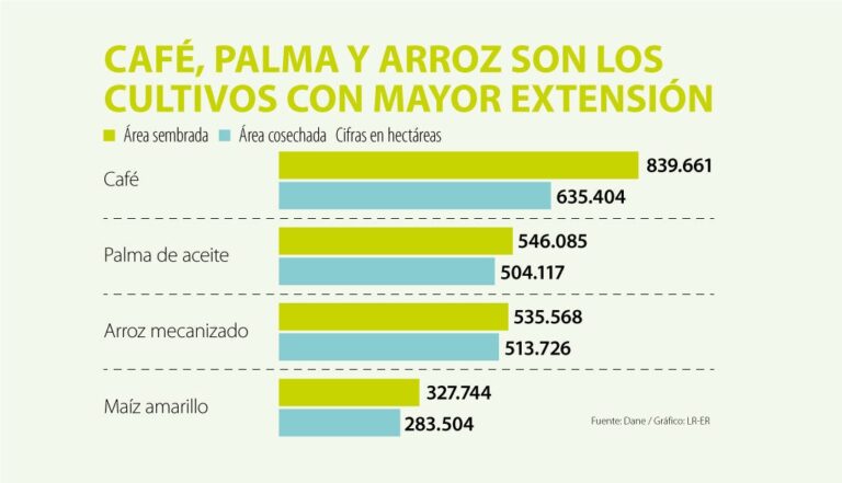 Factores que afectan la productividad de los cultivos - Colombia Verde