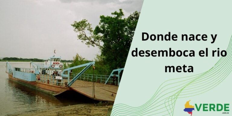 Donde nace y desemboca el rio meta - Colombia Verde
