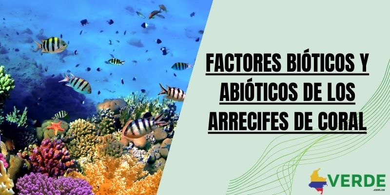 Factores bióticos y abióticos de los arrecifes de coral